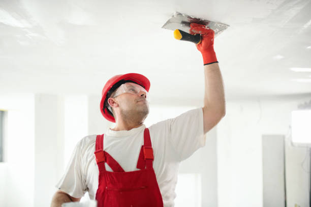 Best Comprehensive Air Testing for Mold Contaminants  in Hideaway, TX