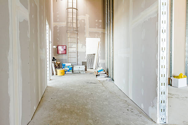Best Mold Damage Restoration  in Hideaway, TX